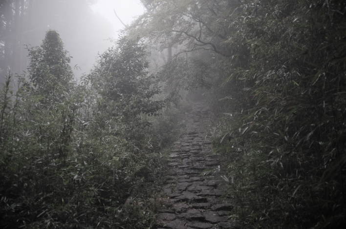 The old Hakone Highway runs through the mountains of Hakone.