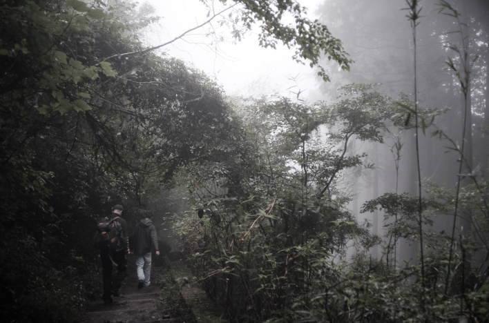 On the old Tokaido road in the Hakone mountains, I passed travelers coming from the opposite direction.