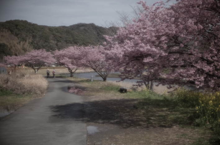 A scene along the Aono River flowing through Minamiizu town. Late February.