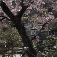 Perry Road in Shimoda.