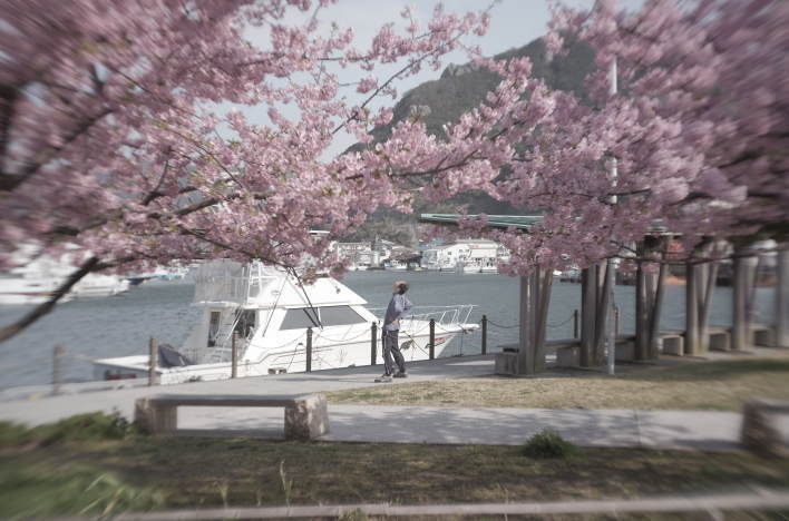 A man does morning exercises while looking out at Shimoda Port.