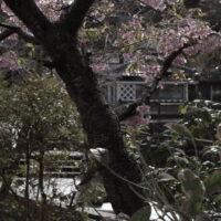 The Sawamura House on the Perry Road in Shimoda.