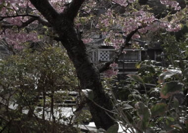 The Sawamura House on the Perry Road in Shimoda.