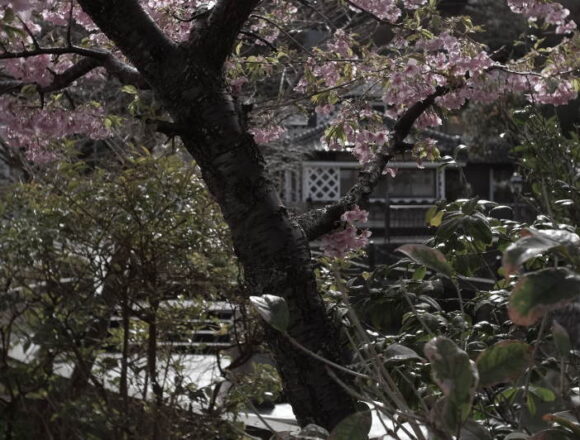 The Sawamura House on the Perry Road in Shimoda.